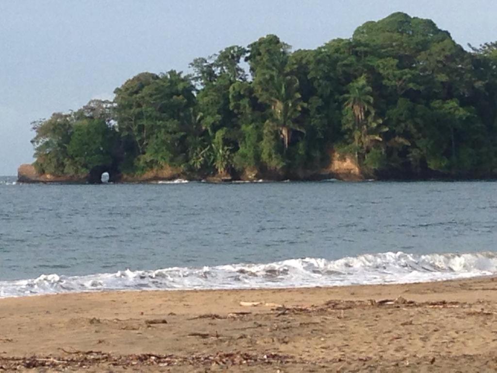 Hotel One Love Puerto Viejo Puerto Viejo de Talamanca 외부 사진