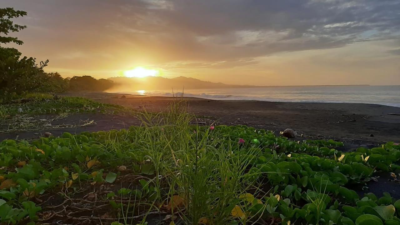 Hotel One Love Puerto Viejo Puerto Viejo de Talamanca 외부 사진