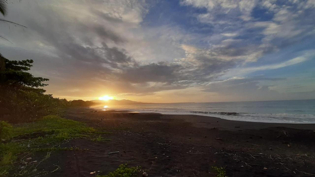 Hotel One Love Puerto Viejo Puerto Viejo de Talamanca 외부 사진